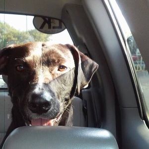 Meet your Posher, Olivia